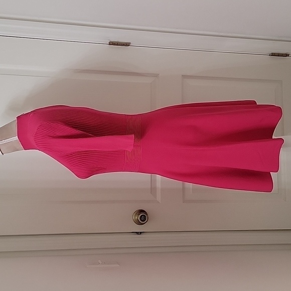 Ted Baker, Size 3 (US 8-10) Viviiyy Engineered Skater Dress,  Hot Pink,  EUC - Picture 3 of 16